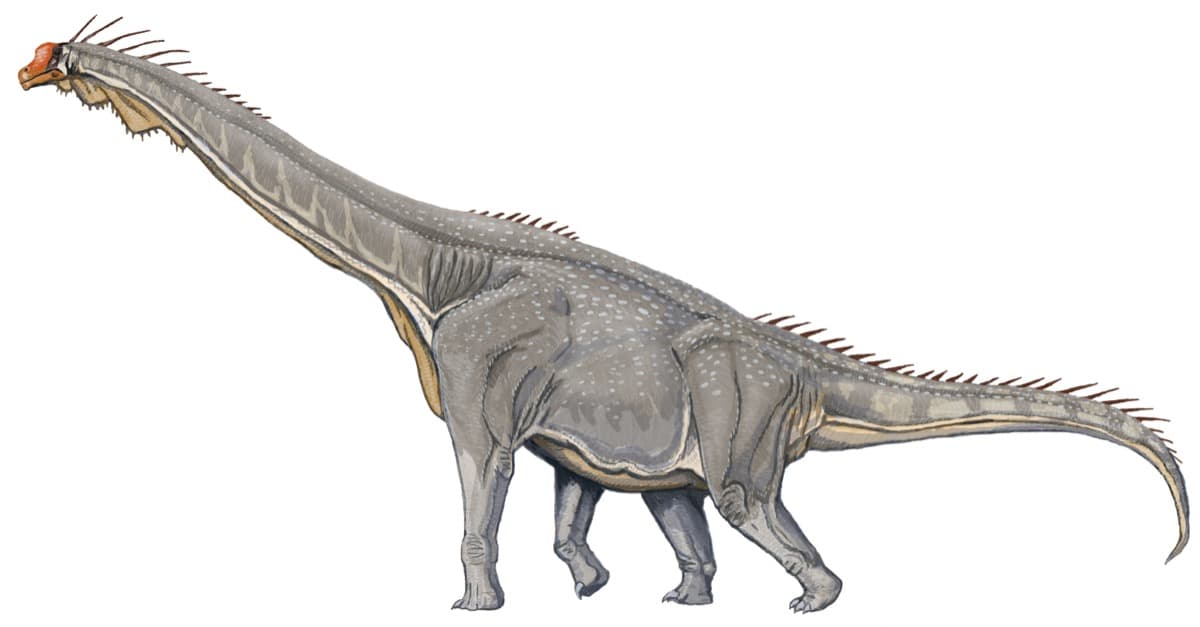 Dinosaurs