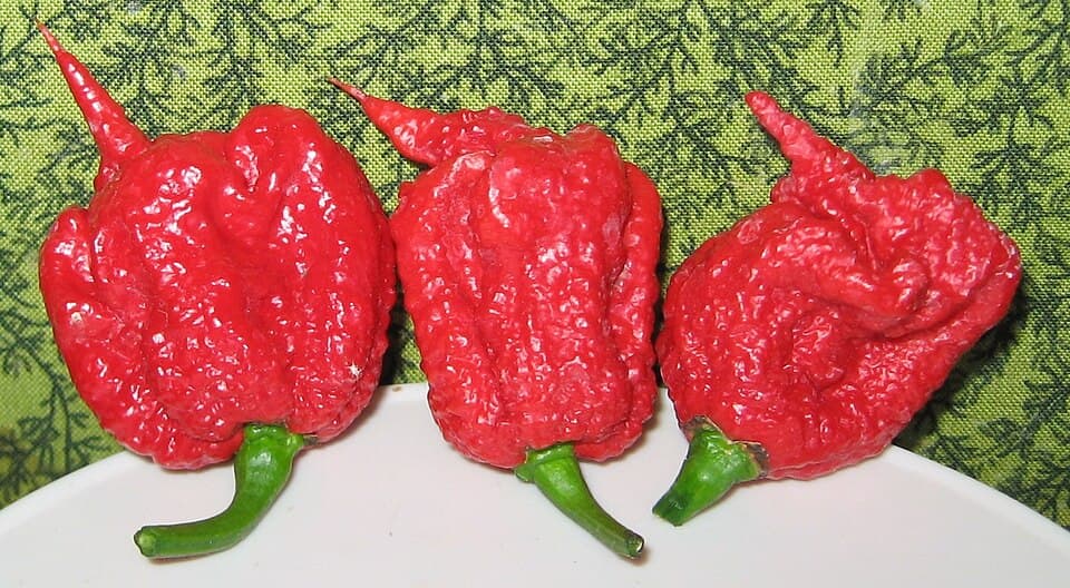 Peppers